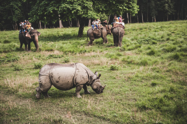 Peaceful Sanctuary in Chitwan