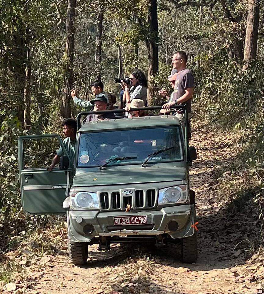 Jeep Safari