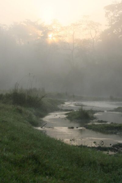 Peaceful Sanctuary in Chitwan-Mia C