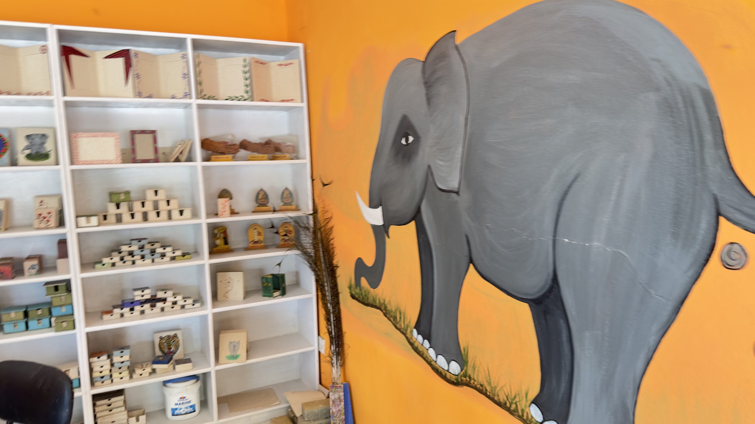 Elephant Dung Paper